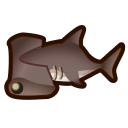 动森-双髻鲨