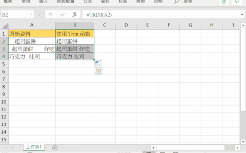Excel TRIM 与 SUBSTITUE 函数，自动去除多余的空白字符