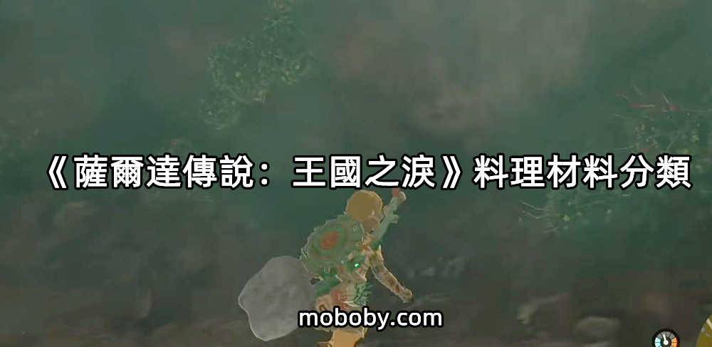 You are currently viewing 《塞尔达传说：王国之泪》料理材料分类