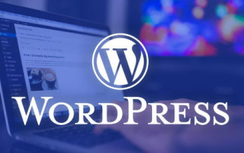 wordpress和zblog建站系统那个好？新手怎么选择