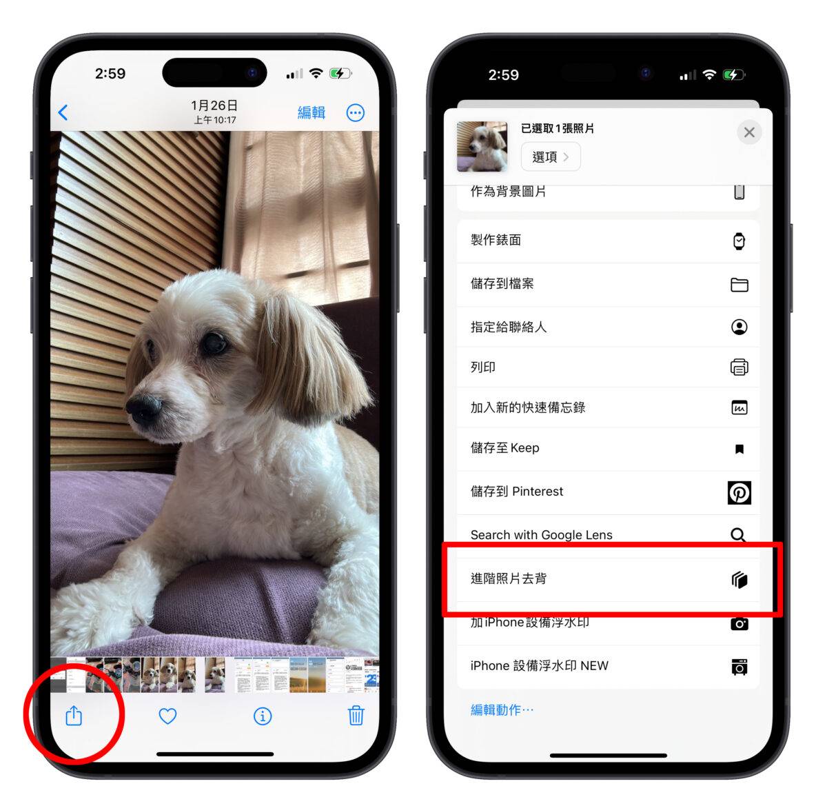 iPhone iOS 捷径 照片去背 iOS 16 照片去背捷径 换背景