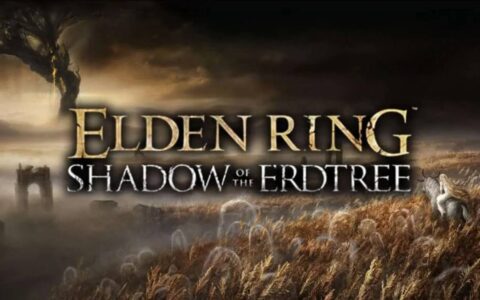 《艾尔登法环》团队证实PC版《黄金树幽影》卡顿问题元凶为外部鼠标软件
