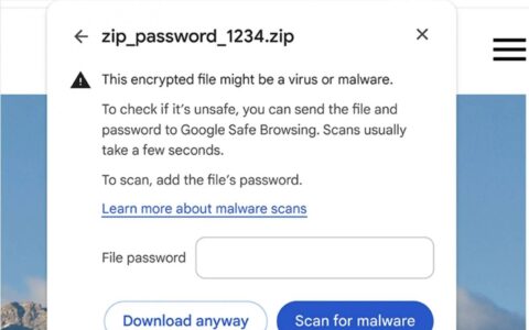 Google加强Chrome安全：下载加密文件时要求用户输入密码进行深度扫描
